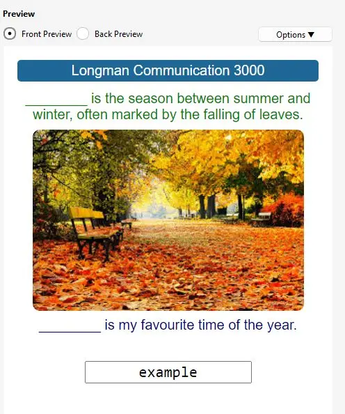 Longman Communication 3000